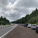 사려니숲길주차장 이미지