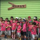 [학습곳간] 도시농부 농사요령 | 자본 없어도 열정이 있다! 청년 도시농부의 노빈손 프로젝트 3탄