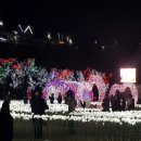 별빛밭
