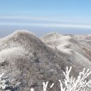 설화장식