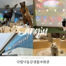 국립낙동강생물자원관 | 경북 상주여행 아이와 가볼만한곳 국립낙동강생물자원관