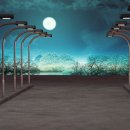 주정차12 이미지