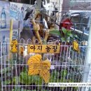 아지농장 이미지