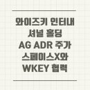 와이즈인터내셔널
