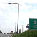 오배추