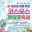 코스모스나이트 - 보은군 법주사로 258-13 | 코스모스나이트