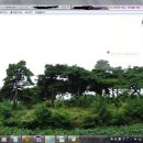 청통면사무소 이미지