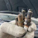 대진차량관리 이미지