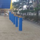 샘머리초교병설 이미지