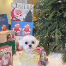 알로하펫 이미지