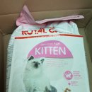 조이천사 이미지