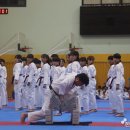 오성태권도 이미지