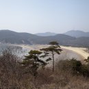 서포리 관광지 오토캠핑장 이미지