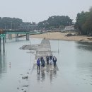 2022년 4월 25일 조암제일교회와 궁평항에서 이미지