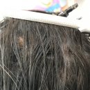 샘마을길 13 이미지