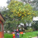 오렌지휴게소 이미지