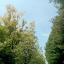 화랑대사거리 이미지