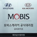 캐리어드림총판