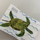 에릭칼 | Panda Bear, Panda Bear 책 후기｜에릭 칼 유아 영어 그림책·엄마표 영어