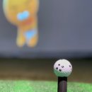 화정스크린골프 이미지