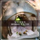 데일리민디 네이버블로그