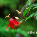 신약성경 읽기전 알면 좋은 배경 지식 이미지