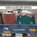 오산동 윤정프라자 이미지
