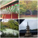 이상복경주빵불국점 | 자랑스러운 세계문화유산 불국사 석굴암과 경주 계피빵은 예술이야