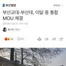 연제구-082 이미지