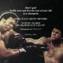 달서권투 이미지