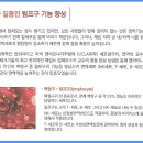 바이오포톤