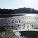 카우글램핑 이미지