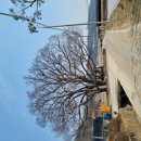 장동리 마을회관 이미지