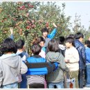 신암농장 이미지