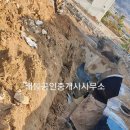 장흥회덕중학교 티스토리
