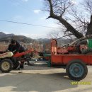 금호농협대창지점 이미지