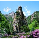 금 강  2 이미지