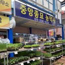 중앙농약사 | 강원도 고성 종묘사 : 간성전통시장 &lt; 중앙종묘농약사 &gt;