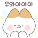 장보는강아지와고양이 신호점 네이버블로그