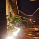 아리랑고개까페 이미지