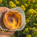 연동대림1차아파트 (대림2차아파트방면) | 제주 에그타르트 맛집 아라파파 제주 말차 우유까지 완벽!