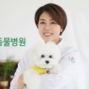 에코동물병원 이미지