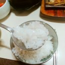 청정장어 이미지