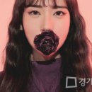 Paradox Avenue(파라독스 에비뉴) 이미지