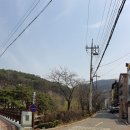 캠핑고래앞 이미지