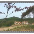 안나의 뜰 사랑채 이미지