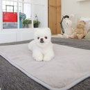 펫하우스 이미지