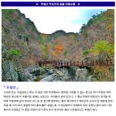 ♣11/8~9(화/수)주왕산 주산지+절골 단풍 이미지