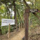 교동멧돼지 이미지