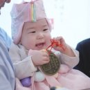 유진이네과일 | 셀프 돌잔치 후기 (돌상,떡,과일,식순,답례품 등)
